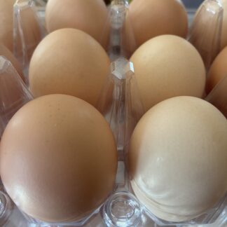Chicken Eggs (12 count)