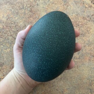 Emu Egg (Small)